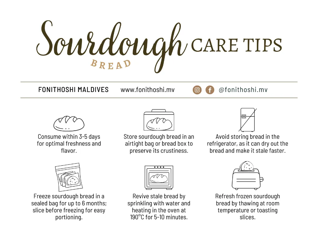 Sourdough care tips.webp