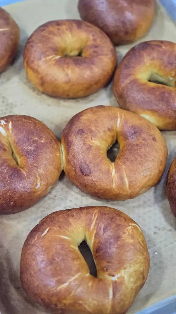 Sourdough Bagels